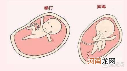 孕早期需要补充什么
