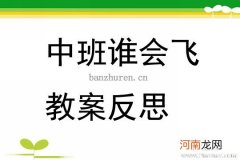 大班语言活动《家》教案反思