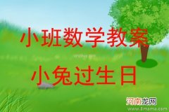 小班数学小兔种菜教案反思