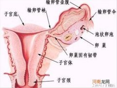 怎么自测输卵管是否通畅