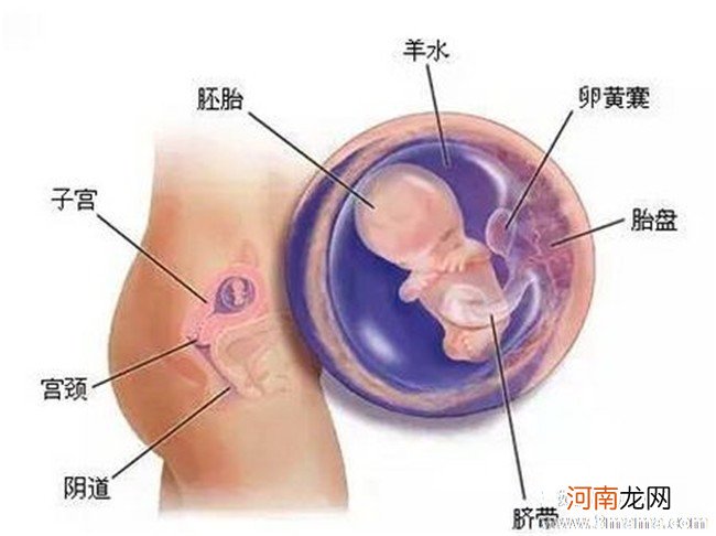 胎教对胎儿的3大重要作用