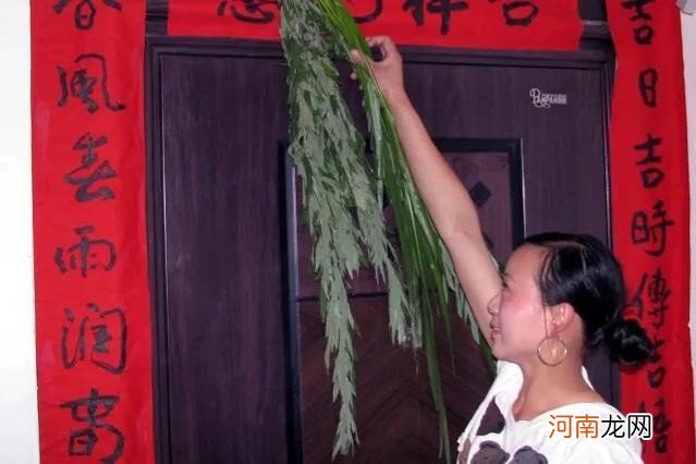 端午门口挂艾草来源 端午节门上挂艾草有什么讲究