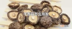 干香菇怎么泡发