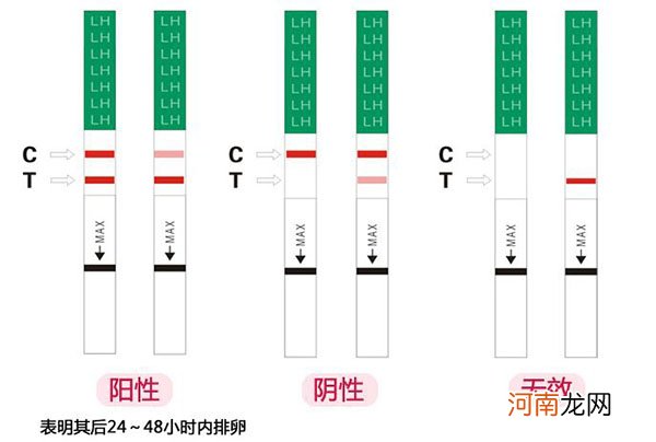 从排卵试纸强阳和弱阳的对照图片 判断排卵的具体时间