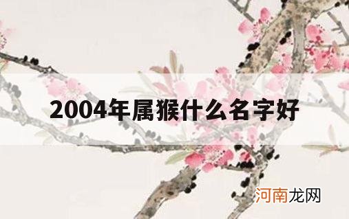 2004年属猴什么名字好_2004年属猴男什么名字好