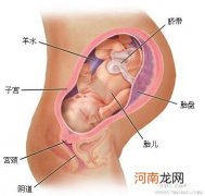 孕晚期胎儿偏小怎么补