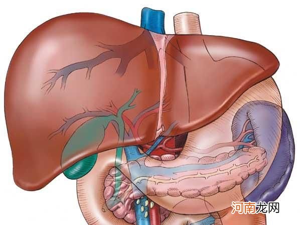 疑似脂肪肝是什么意思