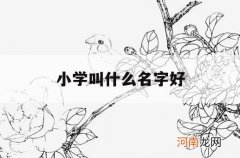 小学叫什么名字好_小学学校名字起什么好