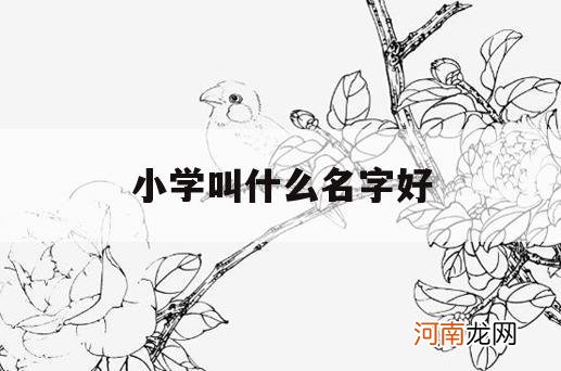 小学叫什么名字好_小学学校名字起什么好