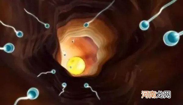 怎么判断精子是否进入子宫 精子进入子宫的三大症状