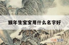 猴年生宝宝用什么名字好_猴年起名字用什么字好?