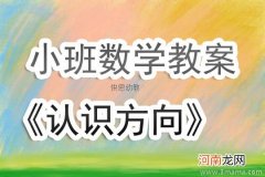 附教学反思 小班社会活动教案：认识我自己教案