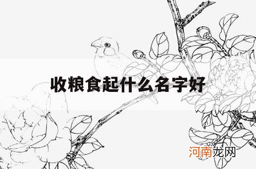 收粮食起什么名字好_收粮食起个啥名字好