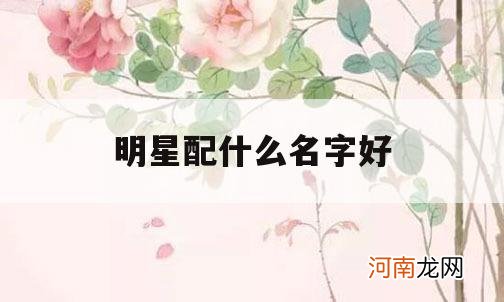 明星配什么名字好_明星这个名字好吗