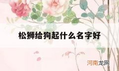 松狮给狗起什么名字好_松狮犬的英文名