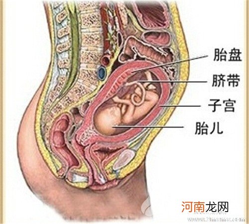 怀孕后期要预防胎盘早剥
