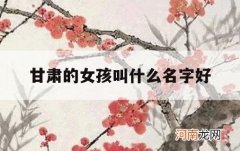 甘肃的女孩叫什么名字好_甘肃人叫女孩怎么叫