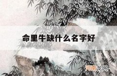 命里牛缺什么名字好_水牛命里缺什么