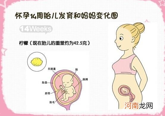 怀孕11周胎停育的症状