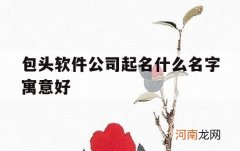 包头软件公司起名什么名字寓意好_包头起名公司哪家好