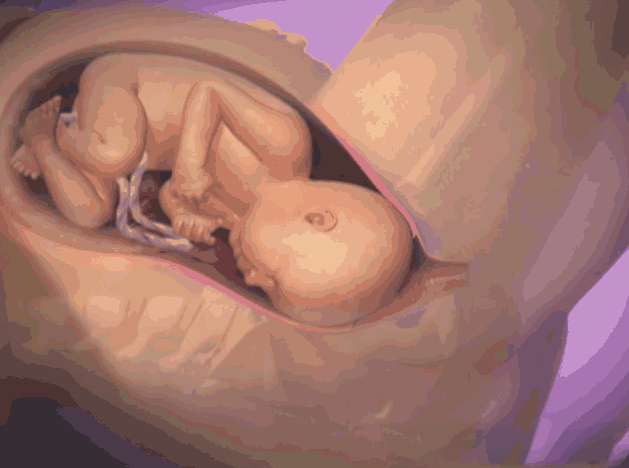 孕妇分娩时，胎儿在干嘛？知道真相后暖哭了，你不是一个人在战斗