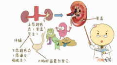 儿童泌尿系统感染症状 儿童尿路感染症状和治疗