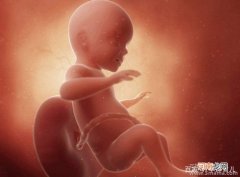 小心！过度胎教不利于胎儿发育