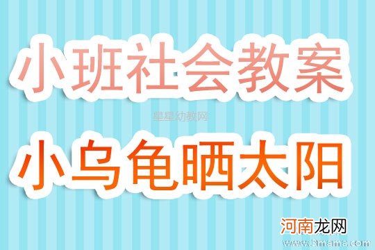 小班健康活动乌龟宝宝晒太阳教案反思