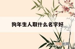 狗年生人取什么名字好_狗年生的宝宝取名字