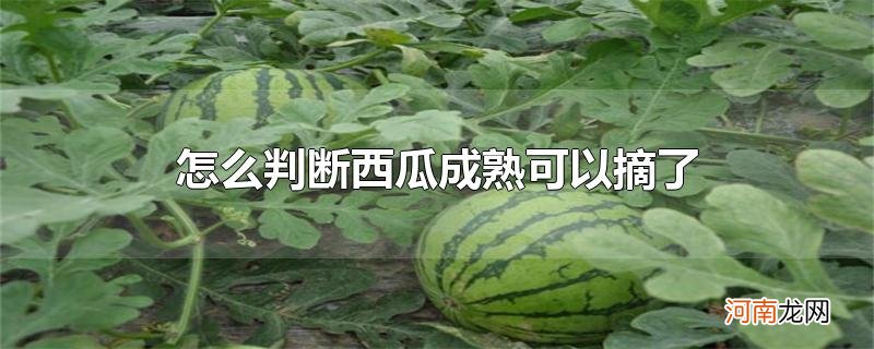 怎么判断西瓜成熟可以摘了