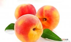 孕晚期可以吃桃子吗