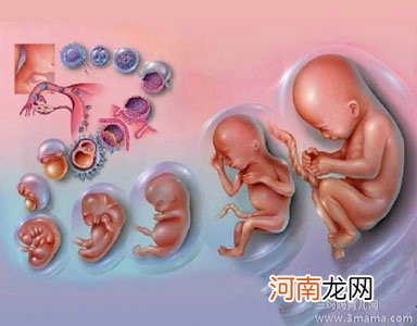 胎儿发育不良常见因素