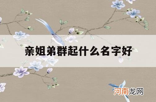 亲姐弟群起什么名字好_亲姐妹群起什么名字好