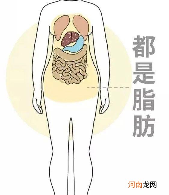 脂肪肝肿大是怎么回事