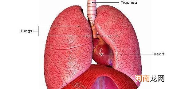 自测肝脏不好11症状