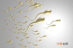 精子不好导致胎停吗 关于精子你真的了解多少？