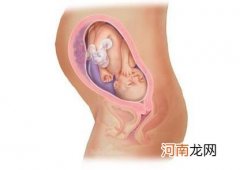 孕妇如何自测胎儿发育状况