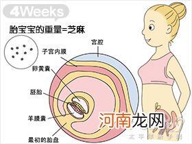 怀孕10天有什么症状