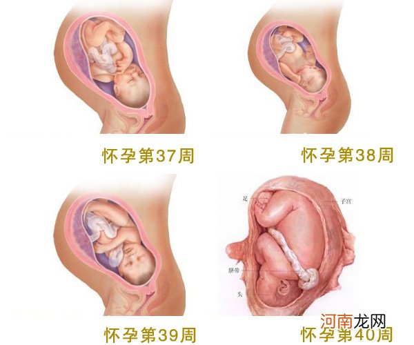 怀孕8周胎停了12周才知道