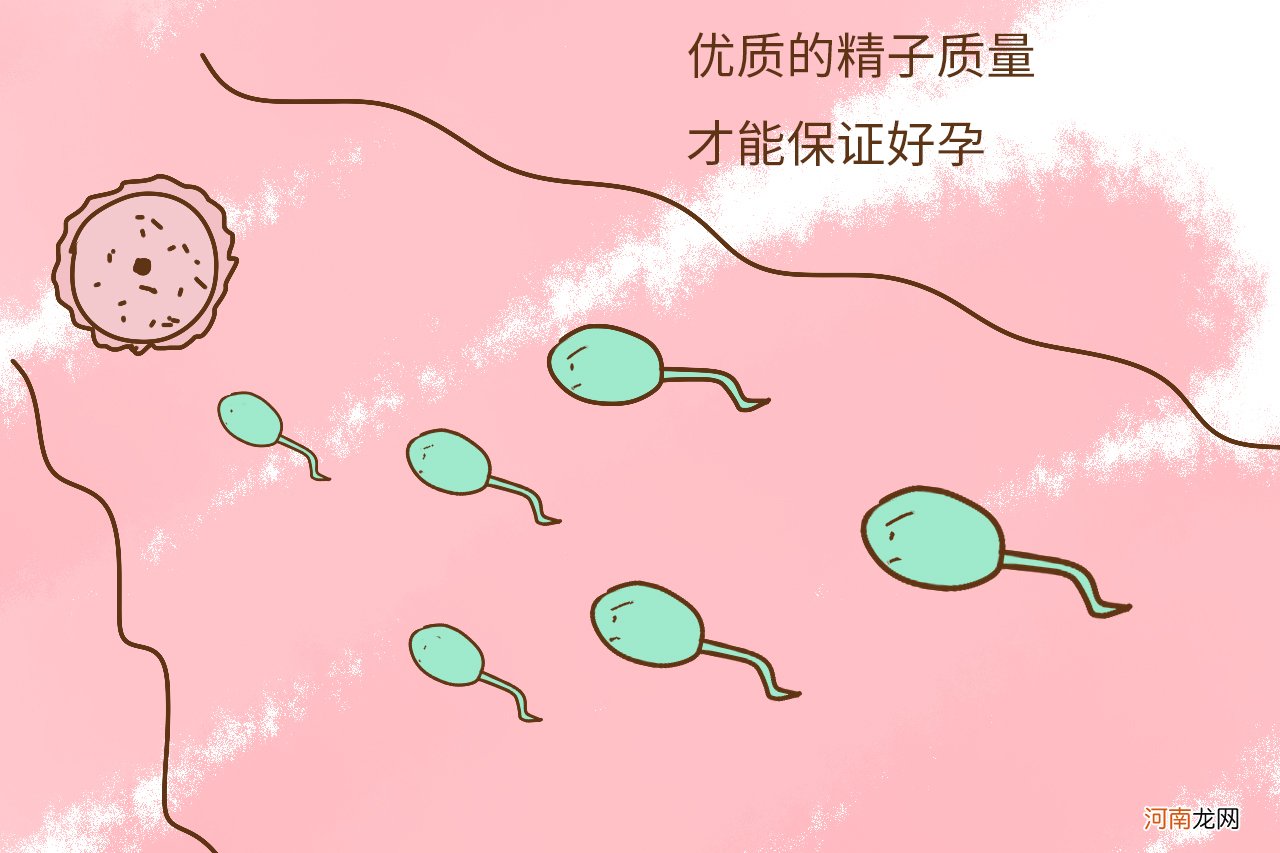 备孕怎么防止精子流出