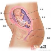 如何知道胎儿是否正常发育