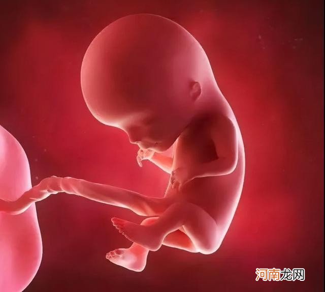 怀孕1-10个月孕妈和宝宝有何变化 五个月胎儿有多大