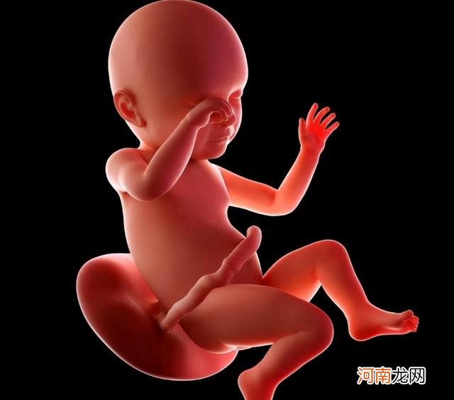 怀孕1-10个月孕妈和宝宝有何变化 五个月胎儿有多大