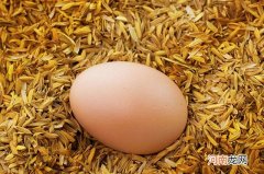 鸡蛋的好处与功效 鸡蛋的营养价值及功效与作用