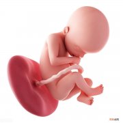孕妇多梦易醒会影响胎儿吗 孕妇失眠多梦对胎儿有什么影响