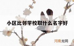 小区比邻学校取什么名字好_挨着学校的小区名字起什么好