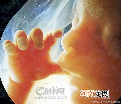 胎教时胎儿有什么感觉?