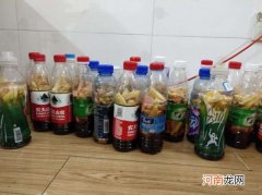 酵素放了三年还能喝吗 酵素放了三年还可以喝吗