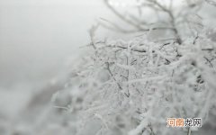 艳阳天里会下雪吗 艳阳天里真的能大雪纷飞吗