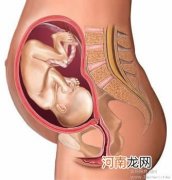 教孕妇随时掌握胎儿的发育